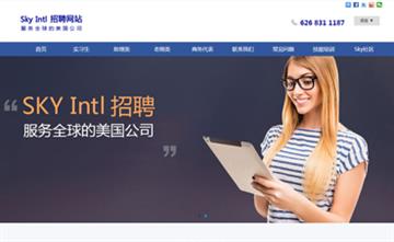 自貢黑羽網絡網頁制作案例-美國sky international