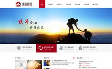自貢黑羽網絡網頁制作案例-浙江捷誠投資擔保有限公司   
