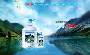 自貢黑羽網絡網頁制作案例-深圳四季甘泉有限公司
