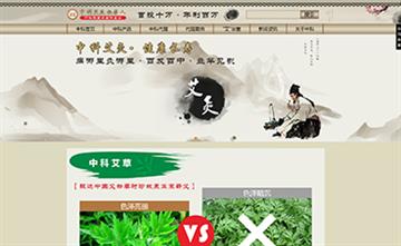 自貢黑羽網絡網頁制作案例- 針灸機器人
