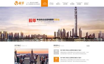 自貢黑羽網絡網頁制作案例-毅莘（上海）商務咨詢有限公司